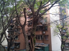 文化五村 3室1厅 东 西