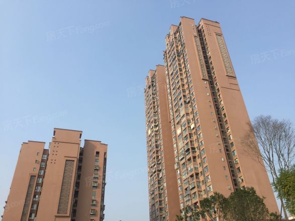 君悦中央实景图