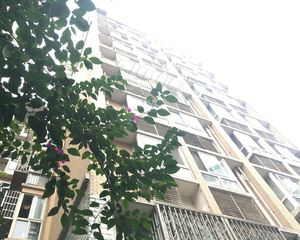 沙河丽景3室1厅东南