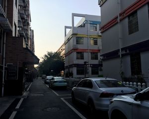 电梯小洋房、清水毛坯、楼层好、视野佳