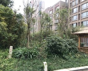 华润银杏华庭3室1厅南
