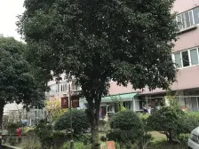 2000年房龄,居中位置,精巧三居,全明两卫