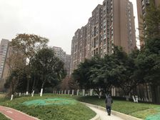 蓝光花满庭一期3室1厅南