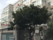 精装一房,近嘉闵线,中间楼层,停车方便,环境优美