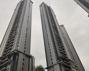 复地金融岛湾流汇 1室1厅 东南 西北