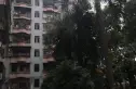 金泰花苑实景图