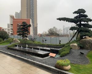 碧桂园翘楚棠3室2厅南