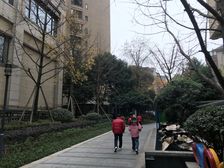 龙湖北城天街二期1室0厅南