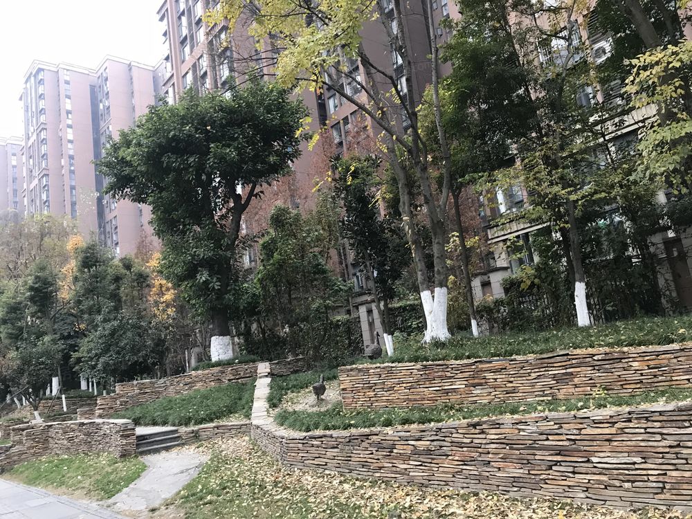 小区相关图