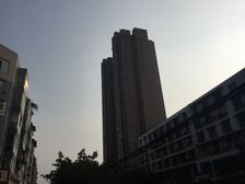 君悦中央一期3室2厅东南
