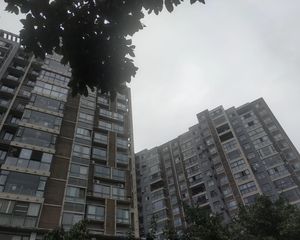 蓝岸丽景3室1厅西南