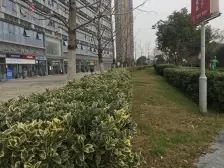 发现岛4.9米挑高 精装修采光好 价格看中可谈