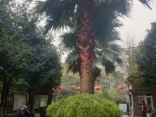 山水国际正规一室一厅 居家安静