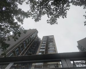蓝岸丽景2室1厅东南