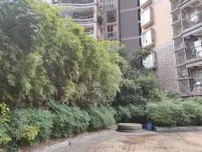 金阳闲庭居+精装两房+产权清晰