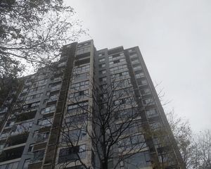 蓝岸丽景2室2厅西南