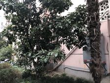 品质小区,小区中心位置,诚意出售,刚需好房