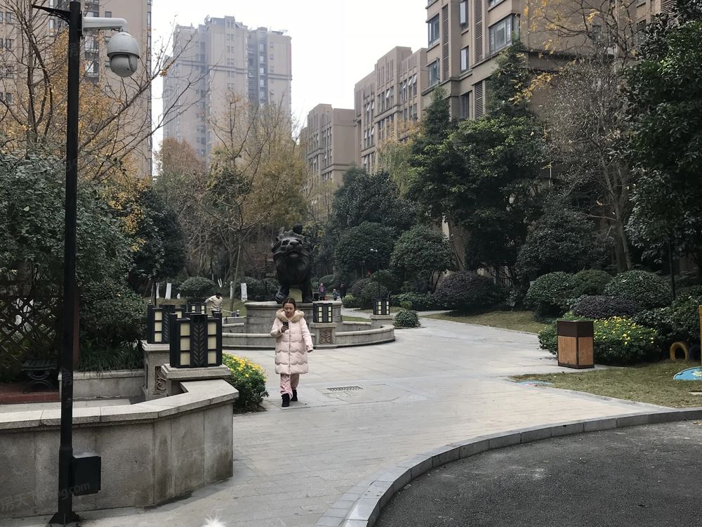 小区相关图