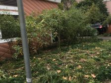 联排有花园诚意卖九亭居中位置满五诚意