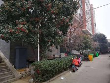 业主诚心出售,精装修,有储藏室