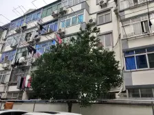 双南房户型好 南北通透采光棒 小区中间位置佳 税费少