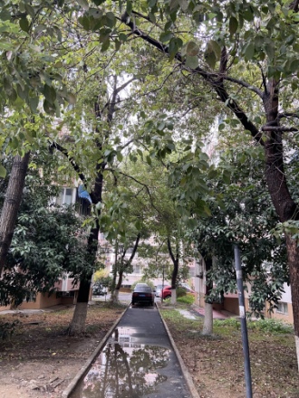 经纬城市花园实景图