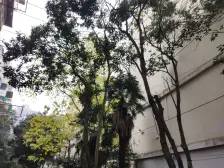 精装修小两房全明户型随时可看房