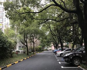 经典飞机户型大3房2厅2卫欢迎您随时来看看