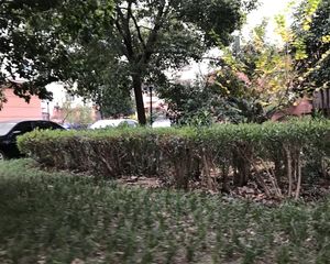 一楼带个大院子您可以种花,种菜,养鱼,休闲的生活多美好呀