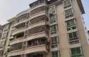 金田御苑实景图