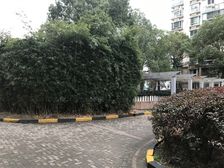 采光充足,房型正气,交通便利,小区中心位置