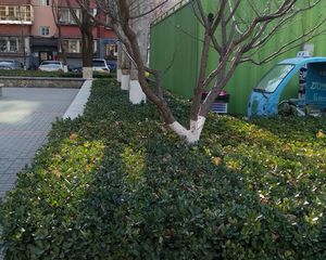亦庄开发区·贵园南里丙区·2室·1厅