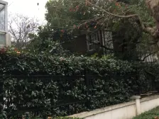 大独栋 位置好 物业好 品质小区 环绕式大花园