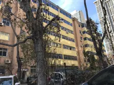 绿城花园 简装三房 采光充足 交通便利 业主诚心售