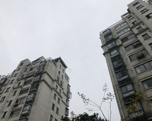 商品房复式房子,花园位置好,采光好
