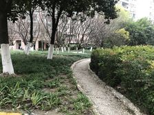 一楼带30平左右大花园,南北通风户型,满五只有契税