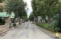 紫郡二期实景图