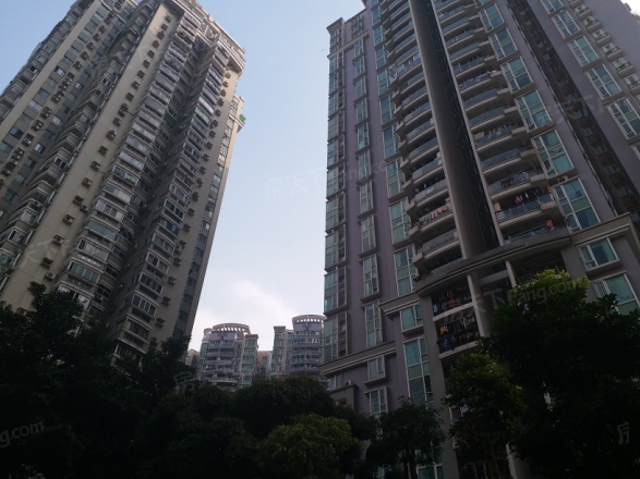 富力东堤湾