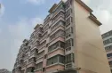 金田御苑实景图