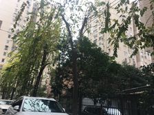 电梯房,朝南有窗,装修改动封上了,可再开窗,随时看