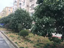 龙柏·龙柏五村·3室·1厅