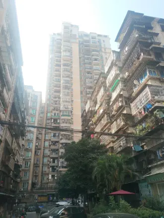 江南翠菊园