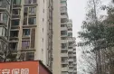御府花都实景图