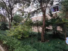 新上南北2房,中区采光视野好,业主诚意卖,看房方便