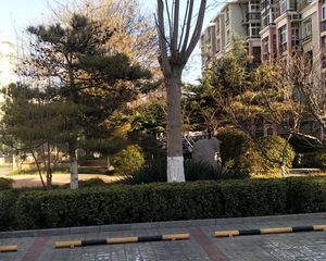 广德苑2室1厅南北