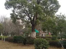 江科对面 金装拎包入住 南北通透 出行方便 生活配套齐全