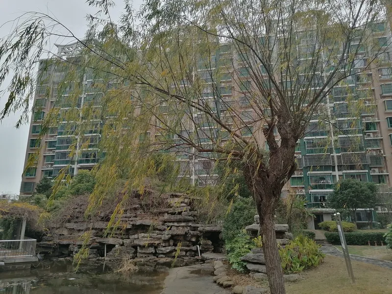 水景豪园别墅户型图,样板间图,装修效果图,实景图-上海房天下