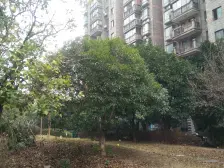 凯美怡和 南北通透,采光好 近地铁 周边匹套完善,,出行方便