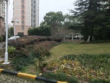 不靠谱,总价低,随时可看