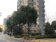 层高3米1的高舒适度房型税少买进高,精装修,拎包入住